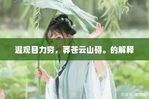 遐观目力穷，莽苍云山碍。的解释