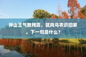 钟山王气散残霞，犹向乌衣识旧家。下一句是什么？