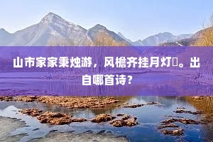 山市家家秉烛游，风檐齐挂月灯毬。出自哪首诗？