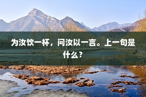 为汝饮一杯，问汝以一言。上一句是什么？