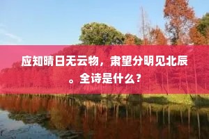 应知晴日无云物，肃望分明见北辰。全诗是什么？