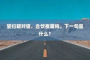 望归朝对镜，合饮夜藏钩。下一句是什么？