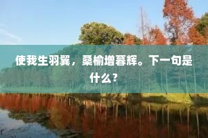 使我生羽翼，桑榆增暮辉。下一句是什么？
