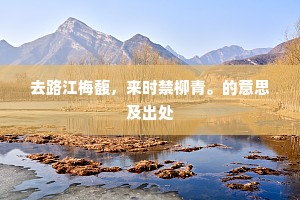 去路江梅馥，来时禁柳青。的意思及出处