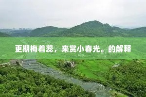 更期梅着蕊，来赏小春光。的解释