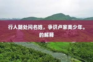 行人随处问名姓，争识卢家美少年。的解释