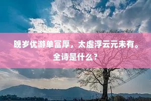 晚岁优游单富厚，太虚浮云元未有。全诗是什么？