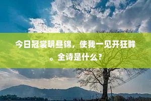 今日冠裳明昼锦，使我一见开狂眸。全诗是什么？