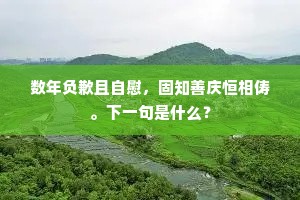 数年负歉且自慰，固知善庆恒相俦。下一句是什么？