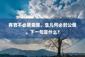 有官不必居鼎鼐，生儿何必封公侯。下一句是什么？