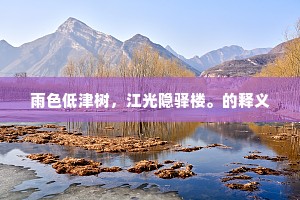 雨色低津树，江光隐驿楼。的释义