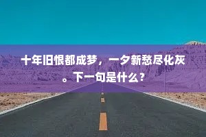 十年旧恨都成梦，一夕新愁尽化灰。下一句是什么？