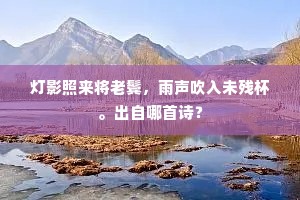 灯影照来将老鬓，雨声吹入未残杯。出自哪首诗？