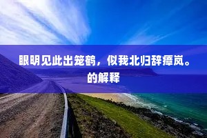 眼明见此出笼鹤，似我北归辞瘴岚。的解释