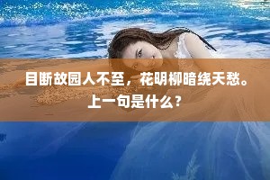 目断故园人不至，花明柳暗绕天愁。上一句是什么？