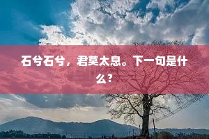 石兮石兮，君莫太息。下一句是什么？