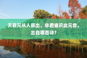 天籁元从人籁出，非君谁识此元音。出自哪首诗？
