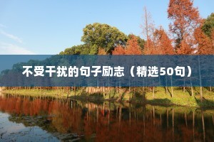 不受干扰的句子励志（精选50句）