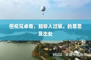 但视兄卓奇，知非人过褒。的意思及出处