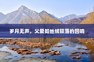 岁月无声，父爱如丝绒陨落的回响