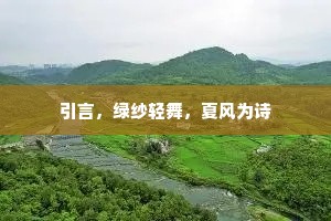 引言，绿纱轻舞，夏风为诗