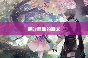 待时而动的释义