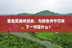 登龙尾道呼班去，为鳄鱼州守印来。下一句是什么？