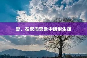 爱，在双向奔赴中熠熠生辉