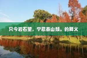 只今岩石望，宁忍泰山颓。的释义