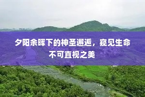 夕阳余晖下的神圣邂逅，窥见生命不可直视之美