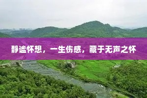 静谧怀想，一生伤感，藏于无声之怀