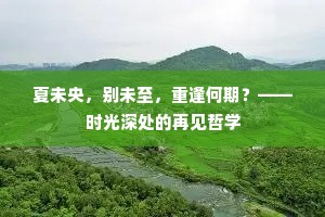 夏未央，别未至，重逢何期？——时光深处的再见哲学