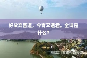 好欲弃吾道，今宵又遇君。全诗是什么？