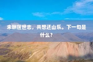 未酬匡世志，共想还山乐。下一句是什么？