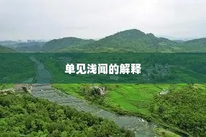 单见浅闻的解释