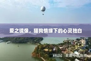 爱之镜像，猫狗情缘下的心灵独白