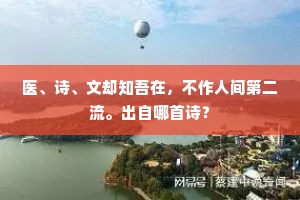 医、诗、文却知吾在，不作人间第二流。出自哪首诗？