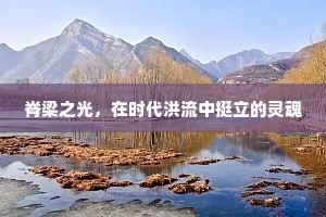 脊梁之光，在时代洪流中挺立的灵魂