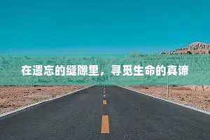 在遗忘的缝隙里，寻觅生命的真谛