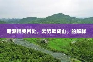暗潮携我何处，云势欲成山。的解释