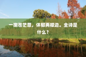 一掬苍茫意，休郁两襟边。全诗是什么？