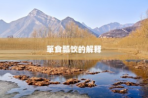箪食瓢饮的解释