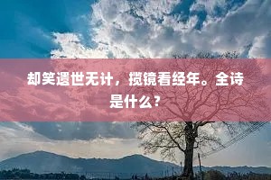 却笑遗世无计，揽镜看经年。全诗是什么？