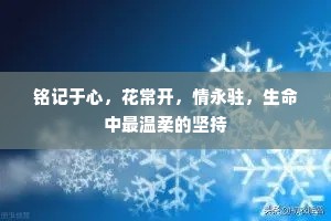 铭记于心，花常开，情永驻，生命中最温柔的坚持
