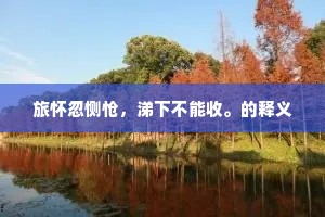 旅怀忽恻怆，涕下不能收。的释义