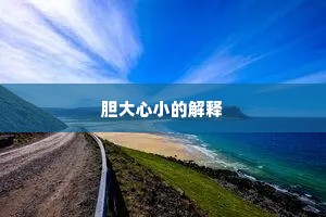 胆大心小的解释