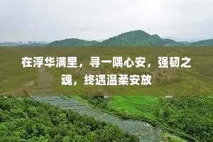 在浮华满里，寻一隅心安，强韧之魂，终遇温柔安放