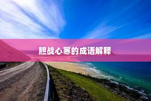 胆战心寒的成语解释