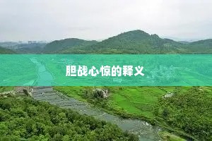 胆战心惊的释义