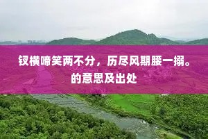 钗横啼笑两不分，历尽风期腰一搦。的意思及出处